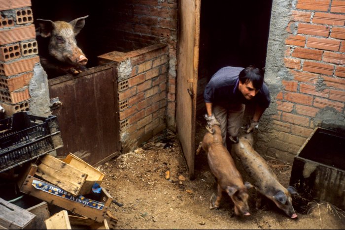 Vida rural en Cataluña